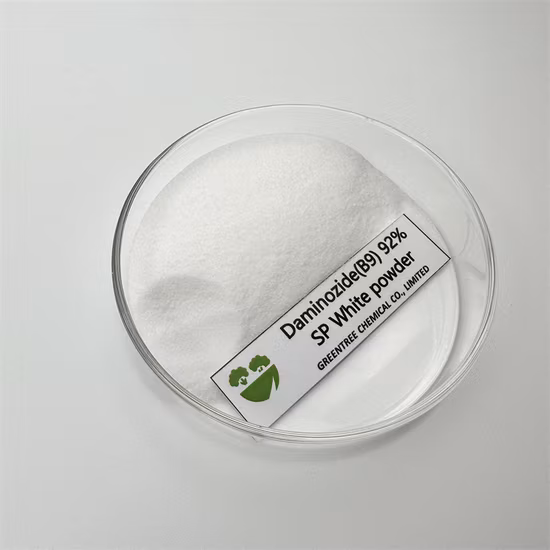 Controlar el crecimiento excesivo de la hormona vegetal Daminozida (B9) Pgr 99%