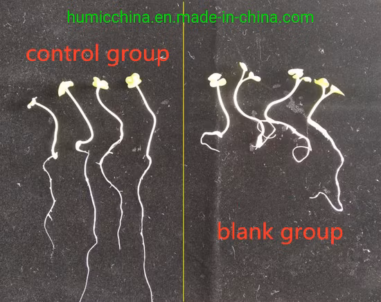 Humato de potasio de alta pureza, ácido húmico, fertilizante orgánico
