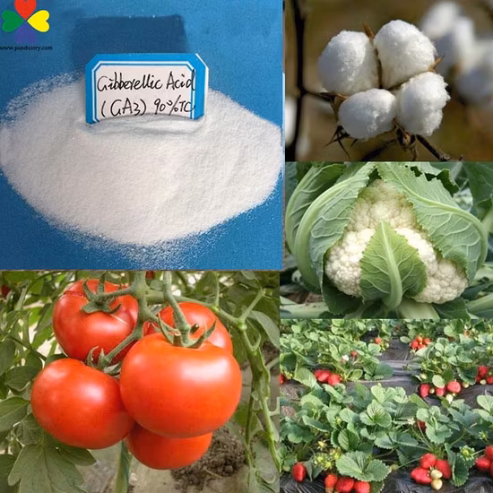 Regulador del crecimiento vegetal giberelina ácido giberélico Ga3 90%Tc Precio en polvo