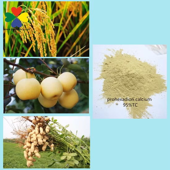 Controle el polvo CAS 127277 de Prohexadione Calcium Pgr del crecimiento excesivo