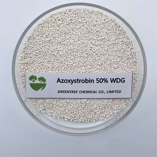 N° CAS 131860