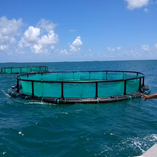 Jaula de red flotante para acuicultura y piscicultura